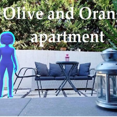 Olive And Orange Apartment Mystras Eksteriør billede